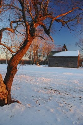 winter barn.tif