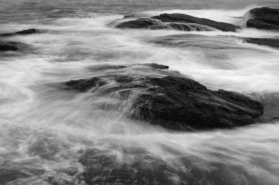 beavertail wave-bw.tif