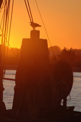 silhouette.tif