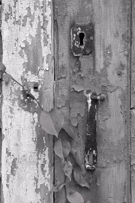 old barn door bw.tif