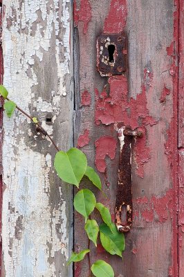 old barn door.tif