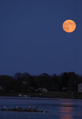 Harvest moon.tif