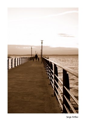 Cap Ferret Monochrome