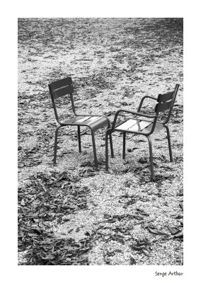 Chaises Jardin Luxembourg 061013_02nb.jpg