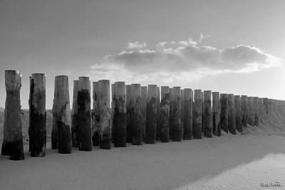 Atlantique 070803 040 bw.jpg