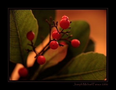 DSC04927_1_filtered.jpg