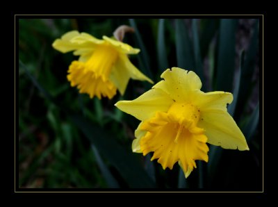 DSC00322_filtered.jpg