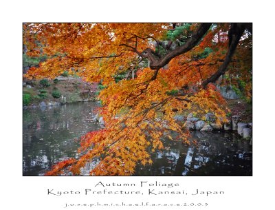 Kyoto in Autumn_1.jpg