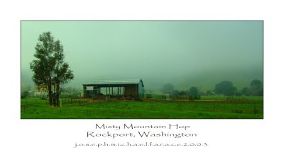 Misty Mountain Hop_1.jpg