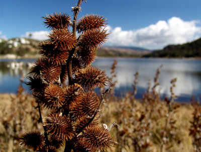 Lake Wohlford_218.JPG