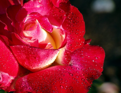 DSC00001.JPG
