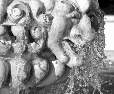 DSC00158_BW_filtered.jpg