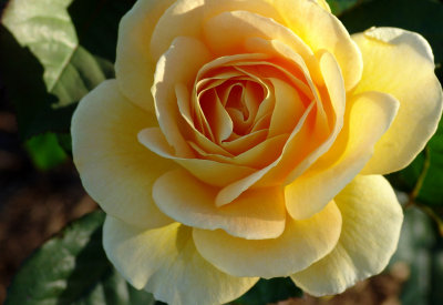 DSC00179.JPG