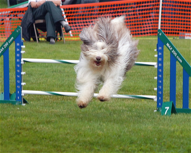 DSC_0099.JPG