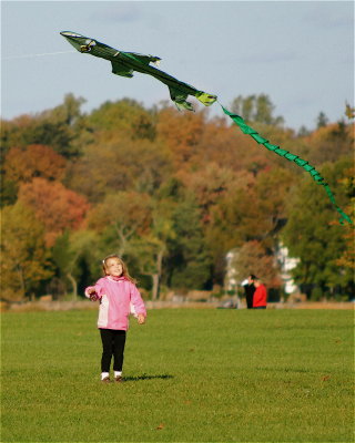 a Day in the park