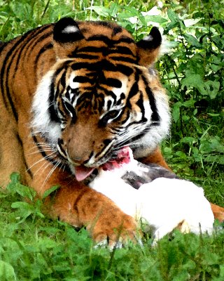 DSC_0815_w.jpg