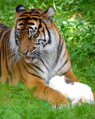 DSC_0821.JPG