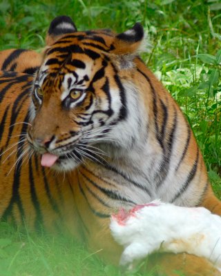 DSC_0837.JPG