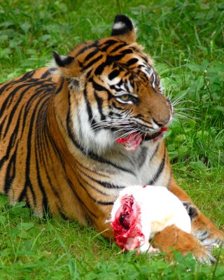 DSC_0858.JPG