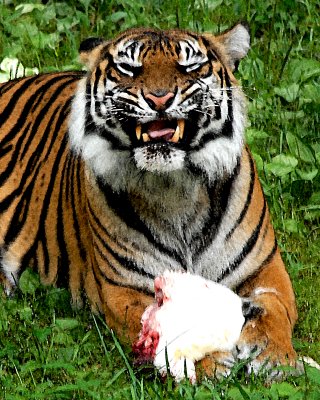 DSC_0893w.jpg