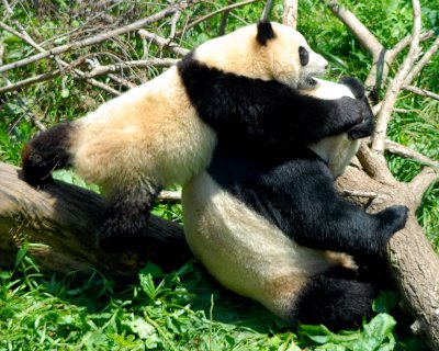 DSC_1067.JPG
