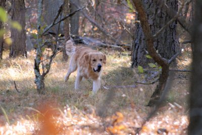 DSC_0136.JPG