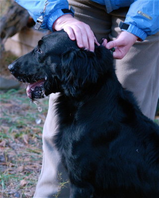 DSC_0208.JPG