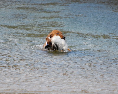 DSC_0305.JPG
