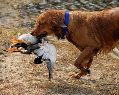 DSC_0315.JPG