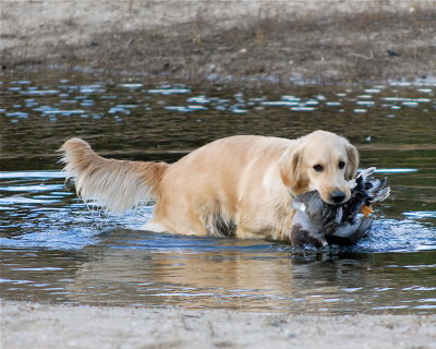 DSC_0319.JPG