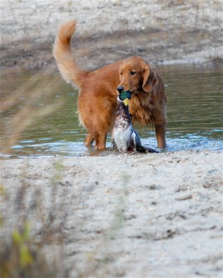 DSC_0353.JPG