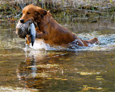 DSC_0366.JPG
