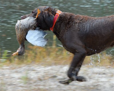 DSC_0407.JPG