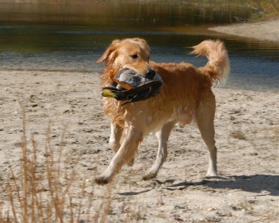 DSC_0454.JPG