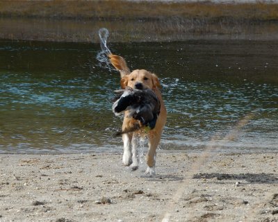 DSC_0459.JPG
