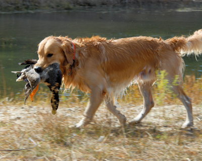 DSC_0467.JPG