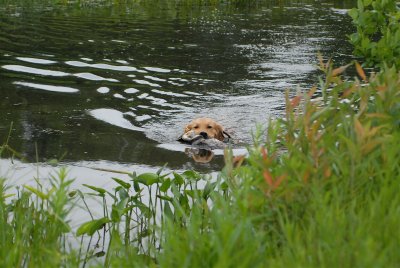 DSC_0036.JPG