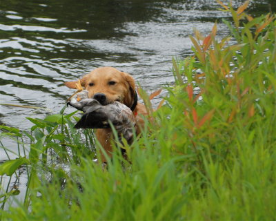 DSC_0037.JPG