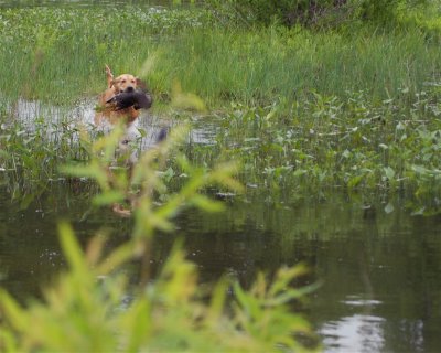 DSC_0049.JPG