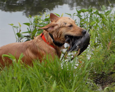 DSC_0057.JPG