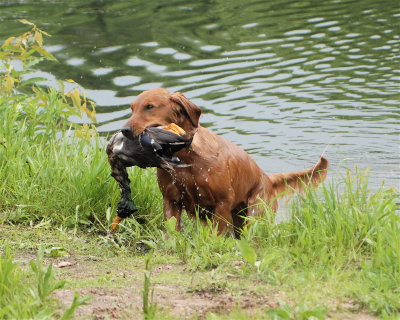 DSC_0086.JPG