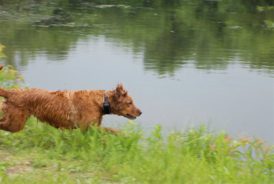 DSC_0089.JPG
