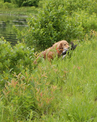 DSC_0095.JPG