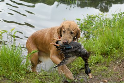 DSC_0111.JPG