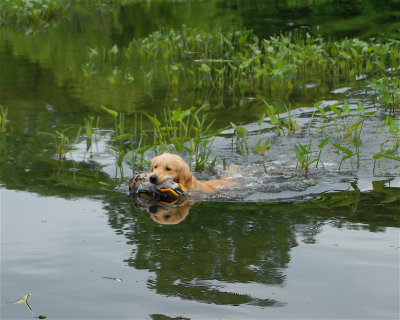 DSC_0217.JPG