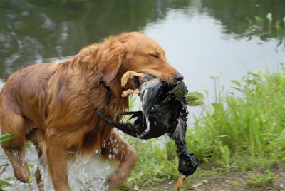 DSC_0287.JPG