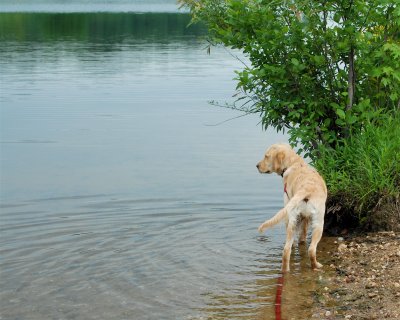 DSC_0143.JPG