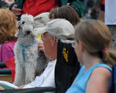 DSC_0124.JPG