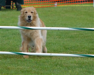DSC_0131.JPG