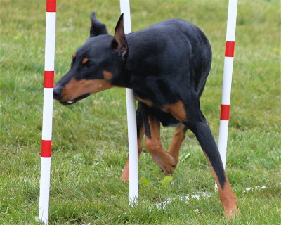DSC_0162.JPG